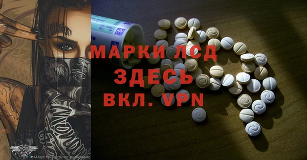 сатива Абинск