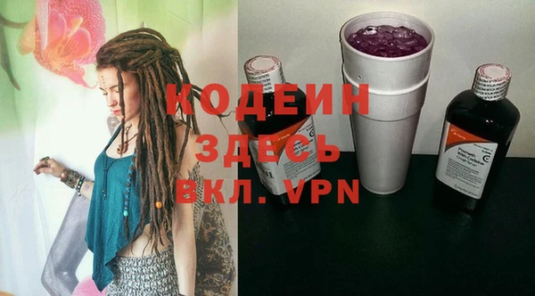 прущие грибы Абаза