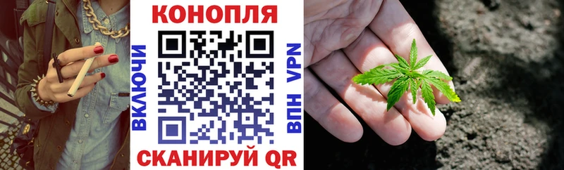 omg маркетплейс  Фурманов  Конопля SATIVA & INDICA 